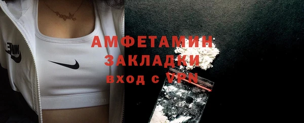 прущие грибы Армянск