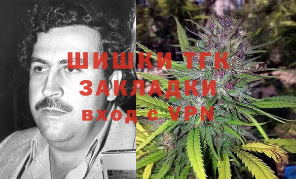 ГАЛЛЮЦИНОГЕННЫЕ ГРИБЫ Арсеньев