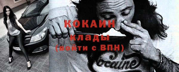 прущие грибы Армянск