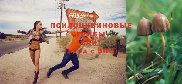 ГАЛЛЮЦИНОГЕННЫЕ ГРИБЫ Арсеньев
