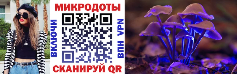 Псилоцибиновые грибы Psilocybine cubensis купить наркотики сайты hydra ССЫЛКА Прохладный